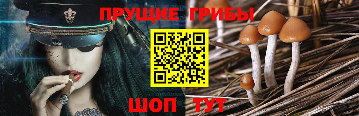 Галлюциногенные грибы мухоморы  Вход с VPN  Киров  Псилоцибиновые грибы Psilocybe 